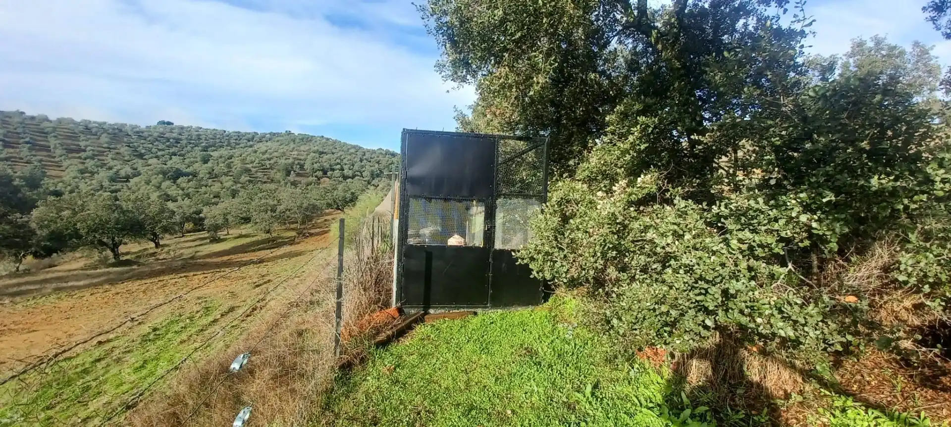 Terreni e lotti in vendita a Cazalla de la Sierra, imagen 59