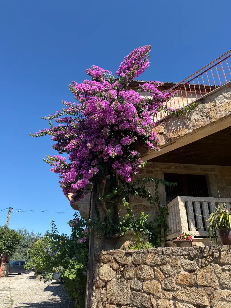Casa amb terrassa en venda a Rúa do Regato 5, imagen 18