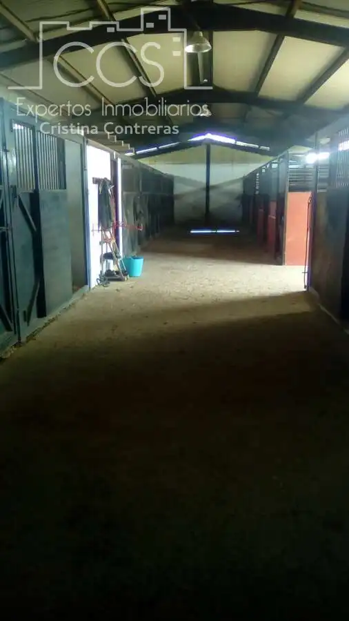 Finca rústica en venda en Pilas