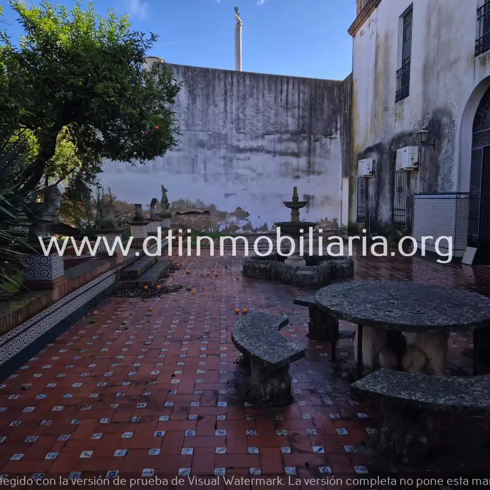 Vista exterior de Casa o chalet en venta en La Palma del Condado con Terraza