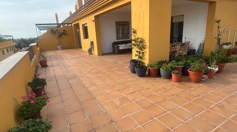 Foto 4 de Àtic de lloguer a Calle Soria, 4, San Pedro de Alcántara pueblo, Málaga