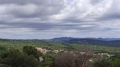 Immagine 3 dell'annuncio