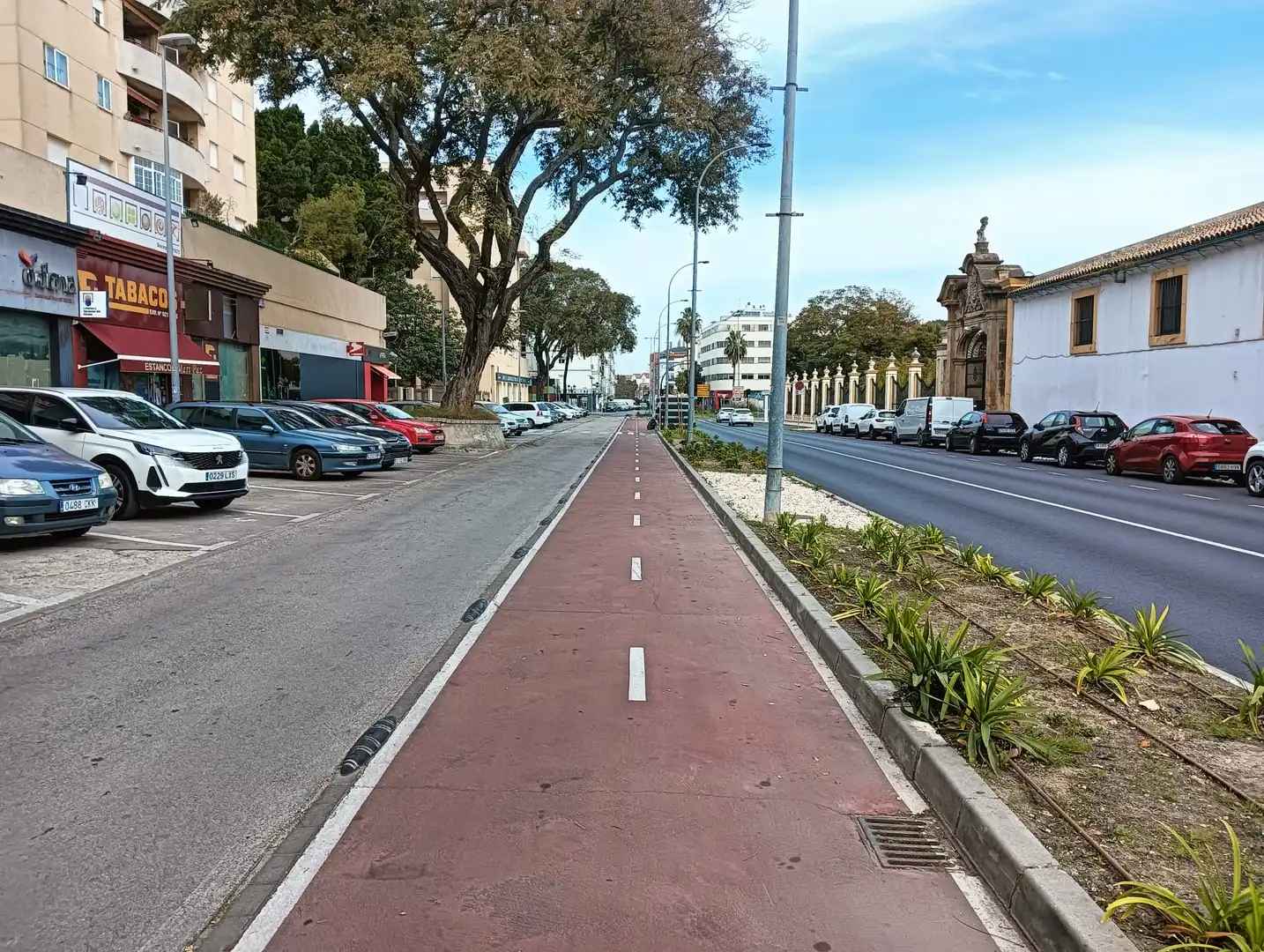 Locale commerciale in affitto a Plaza el Molino