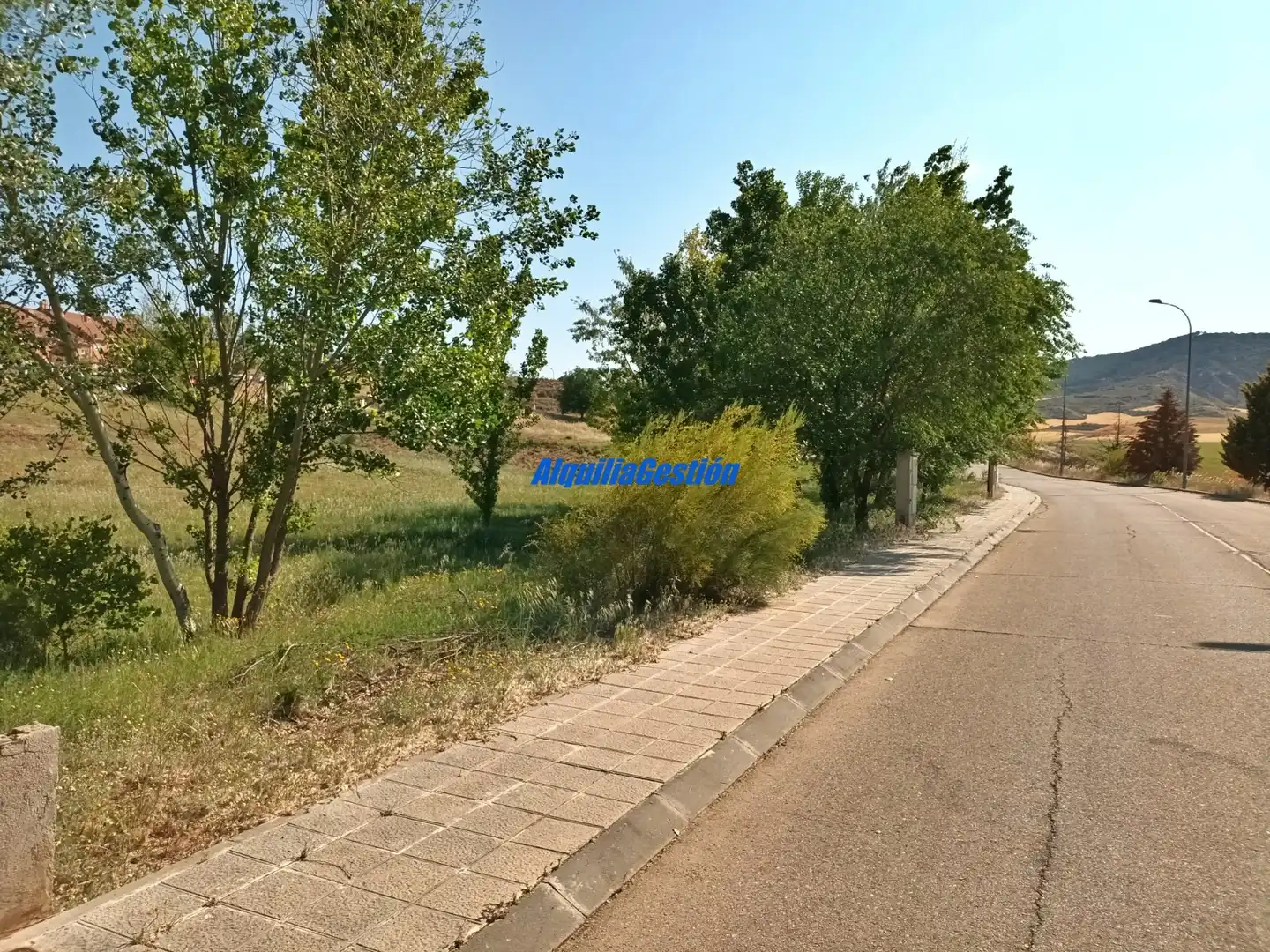 Terreny residencial en venda a Tórtola de Henares, imagen 3