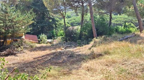 Terreno con vistas y gran potencial en venta en Argentona, imatge 3