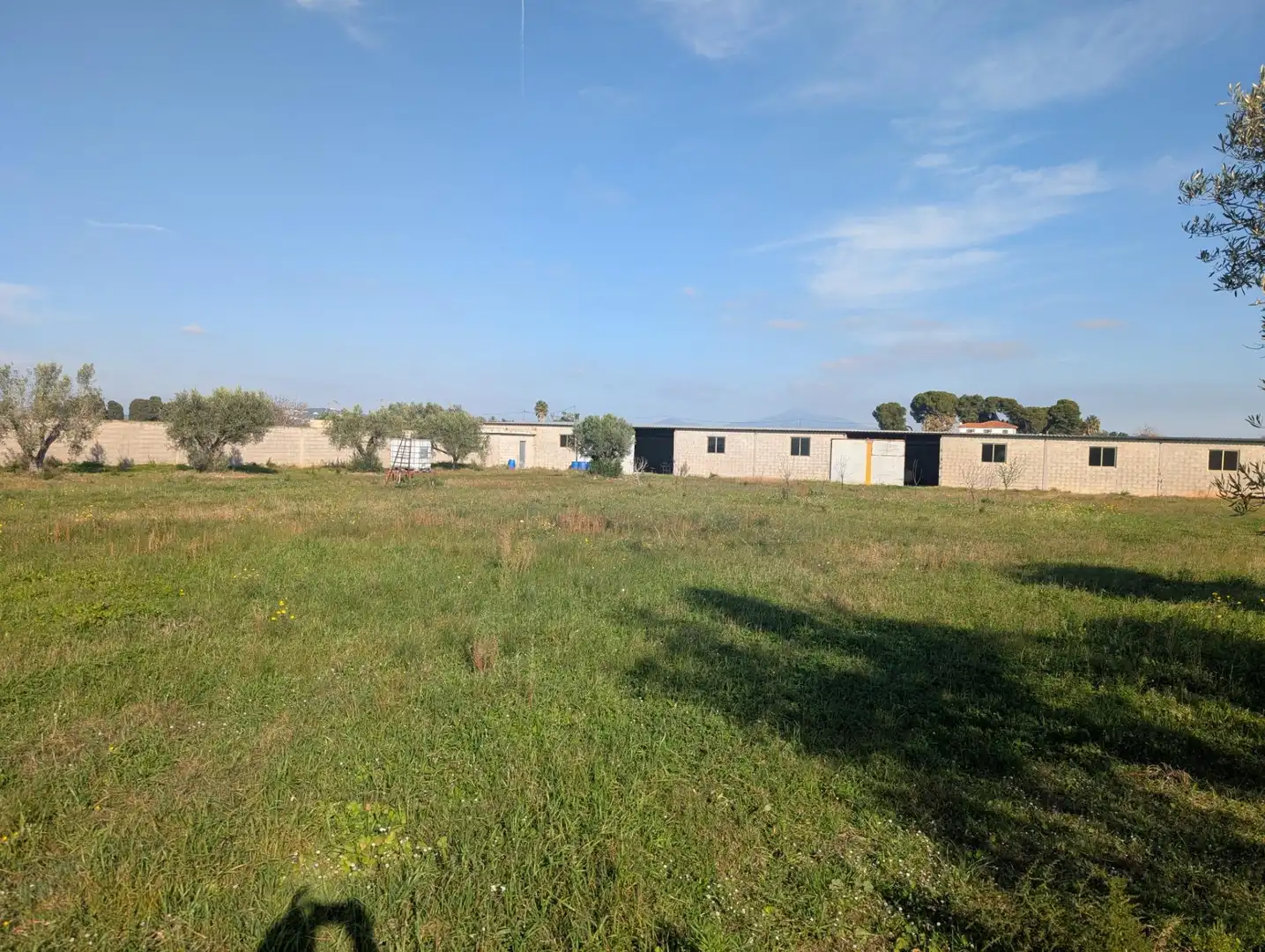 Terreno rustico in vendita a Partidas de interior - Zona Rústica, imagen 14