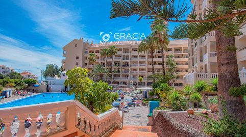 Foto 4 de Estudio en venta en San Francisco, Los Cristianos, Arona