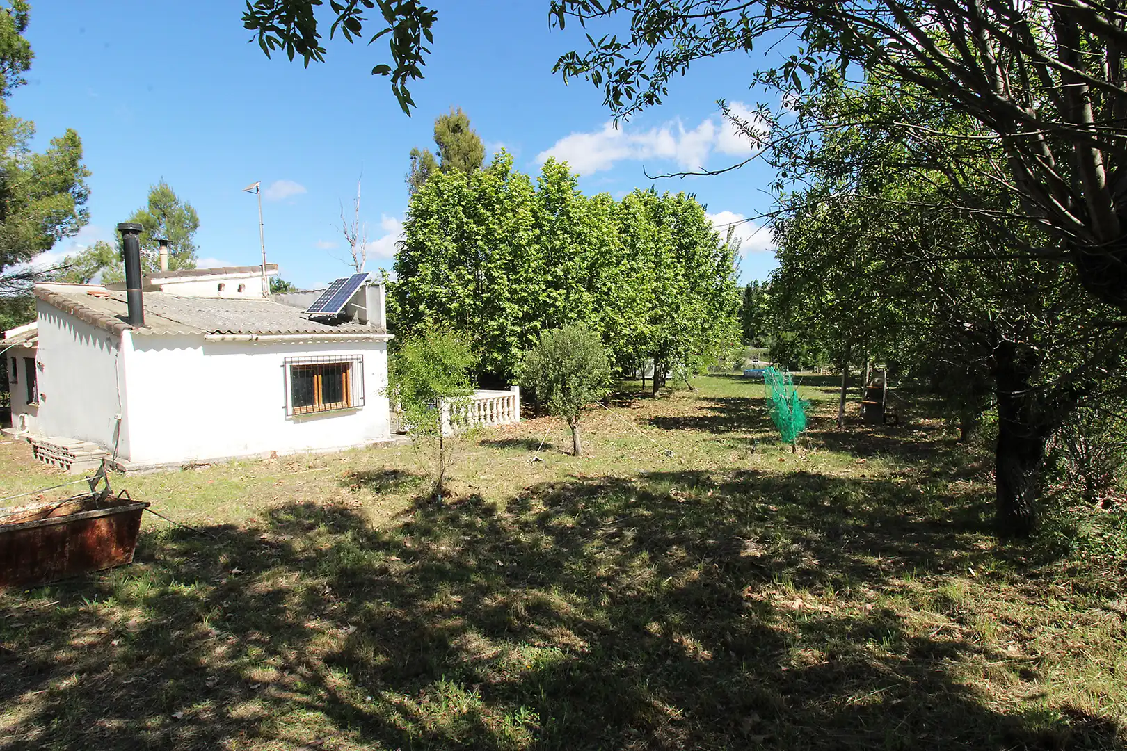 Land for sale in Torrelaguna