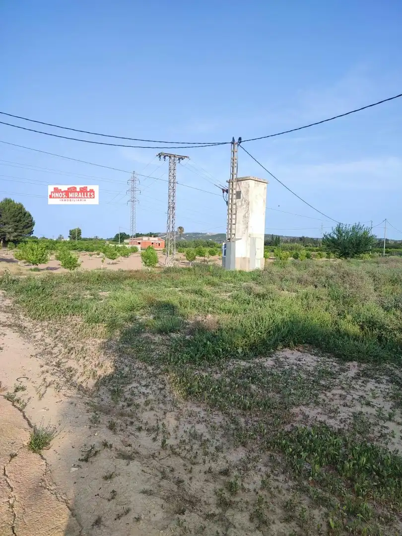 Terreny rústic en venda a Dolores, imagen 3