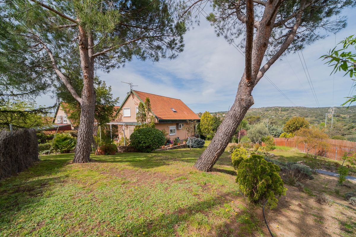 Jardí de Casa o xalet en venda en Torrelodones amb Aire condicionat, Calefacció i Jardí privat