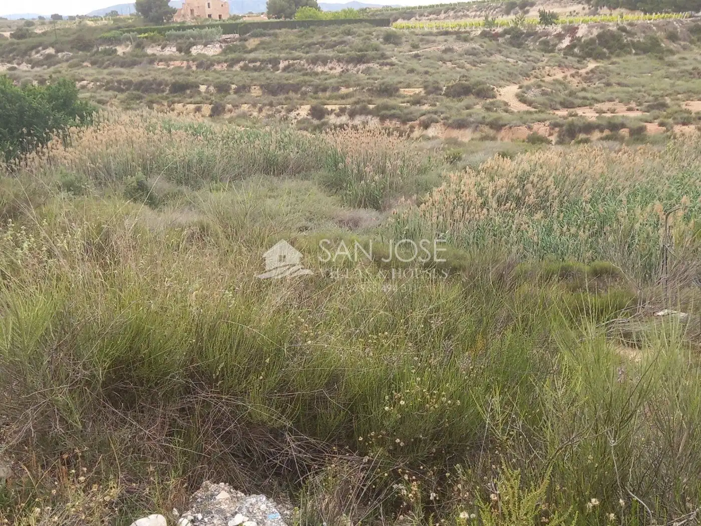 Rural land for sale in Novelda, imagen 10