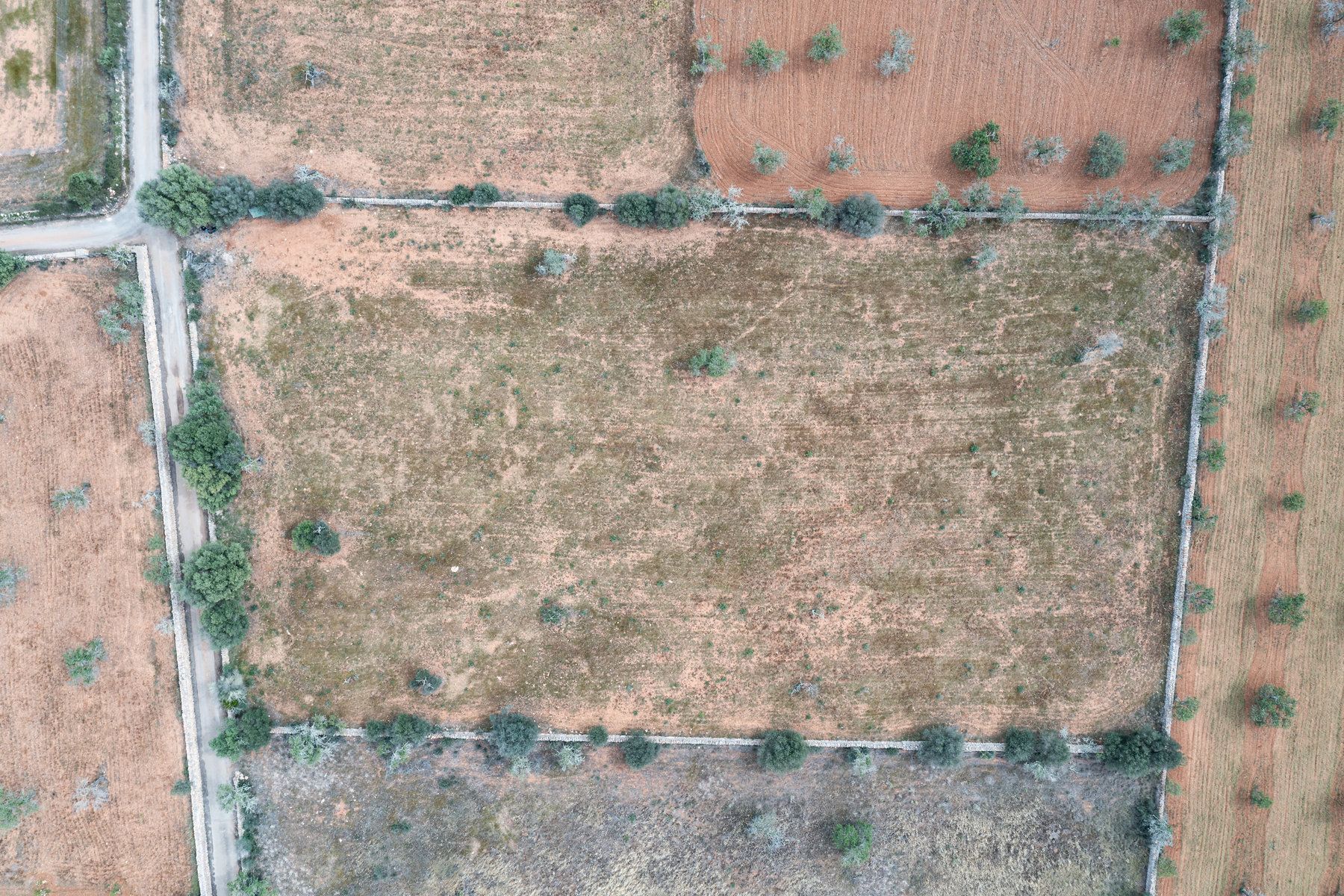 Land for sale in Santanyí