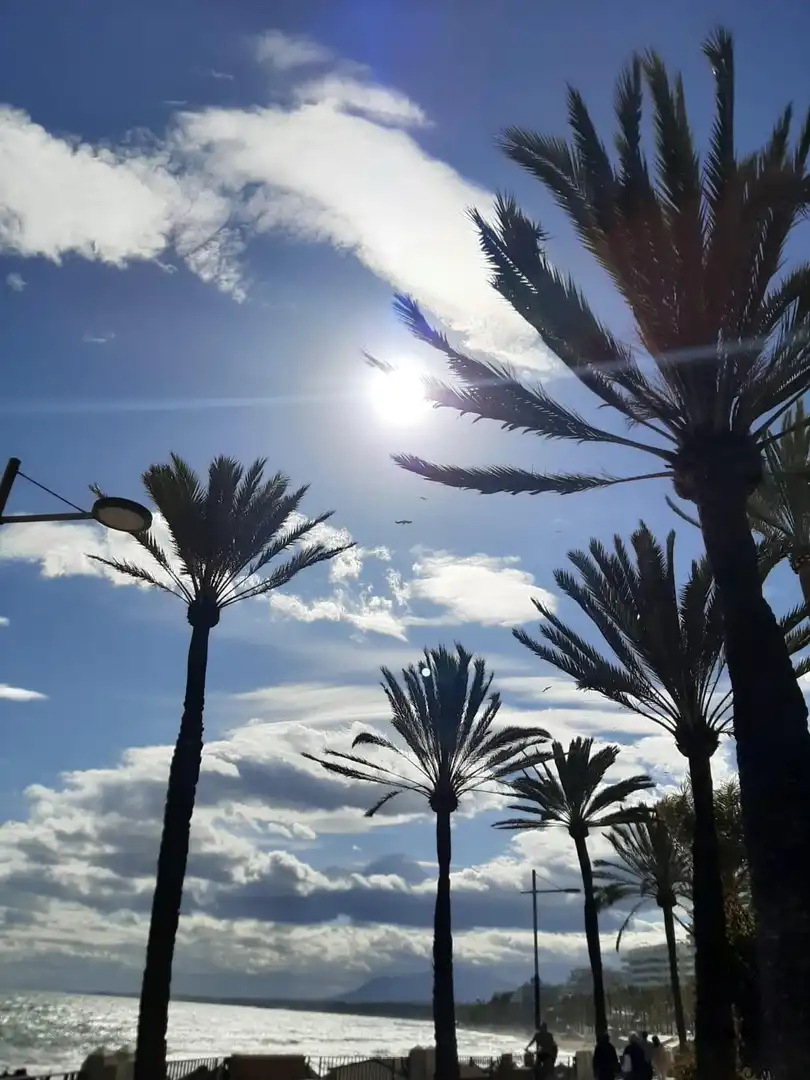 Vista exterior de Pis en venda en Marbella amb Terrassa