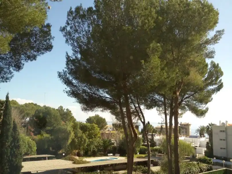 Vista exterior de Pis de lloguer en Cas Català - Illetes