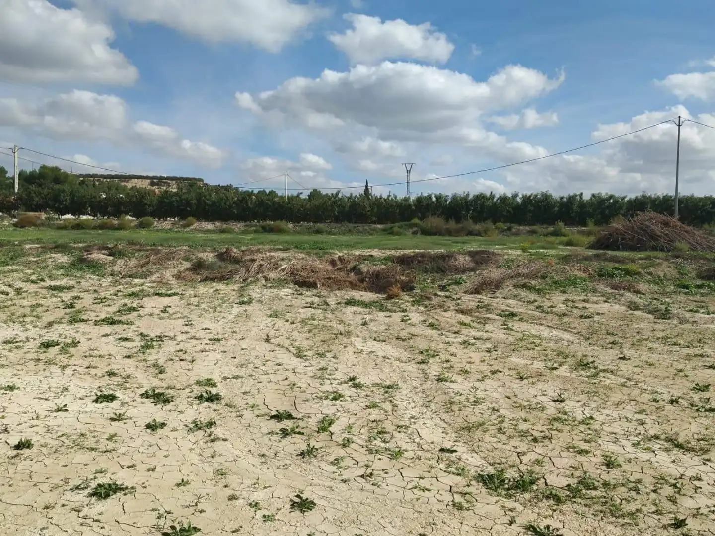 Terreni e lotti in vendita a Lorquí