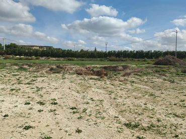 Terrenys i solars en venda a Lorquí