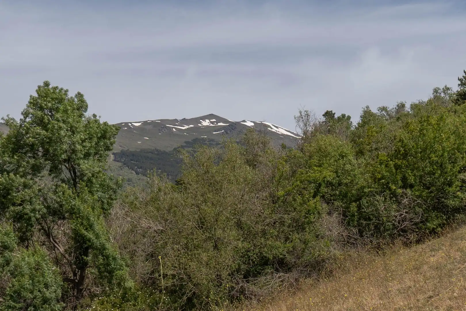 Terreno en venta en Soportújar