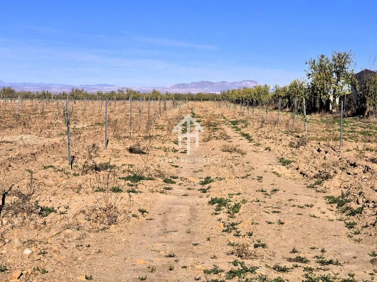 Lands and plots for sale in Lanteira, imagen 71
