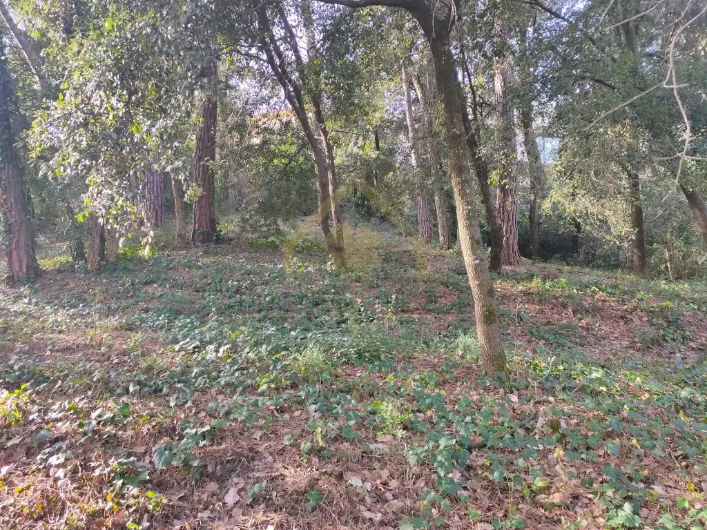 Residential for rent in Sant Pere de Vilamajor