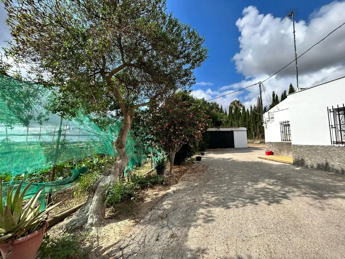 Landhaus mit Garten zum Verkauf in Jerez norte - Montealto - Pozoalbero, imagen 15