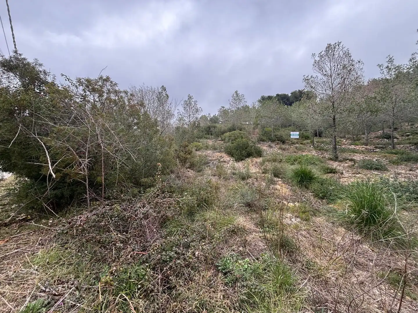 Terreny residencial en venda a Olivella, imagen 23