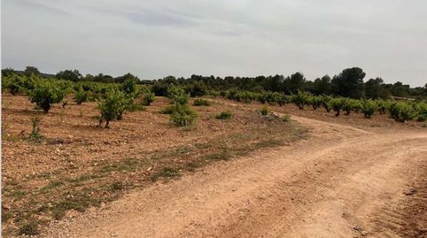 Foto 4 de Residencial en venta en Polígono 20. Parcela, Utiel, Valencia