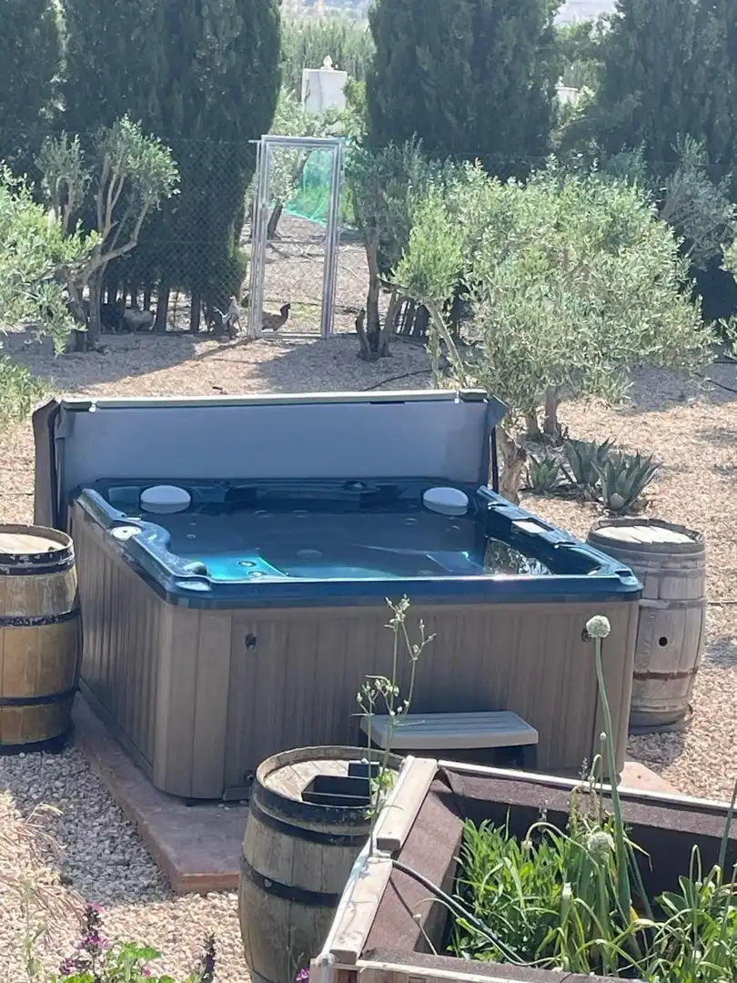 Piscina de Casa o xalet en venda en Villena amb Traster, Jacuzzi i Internet