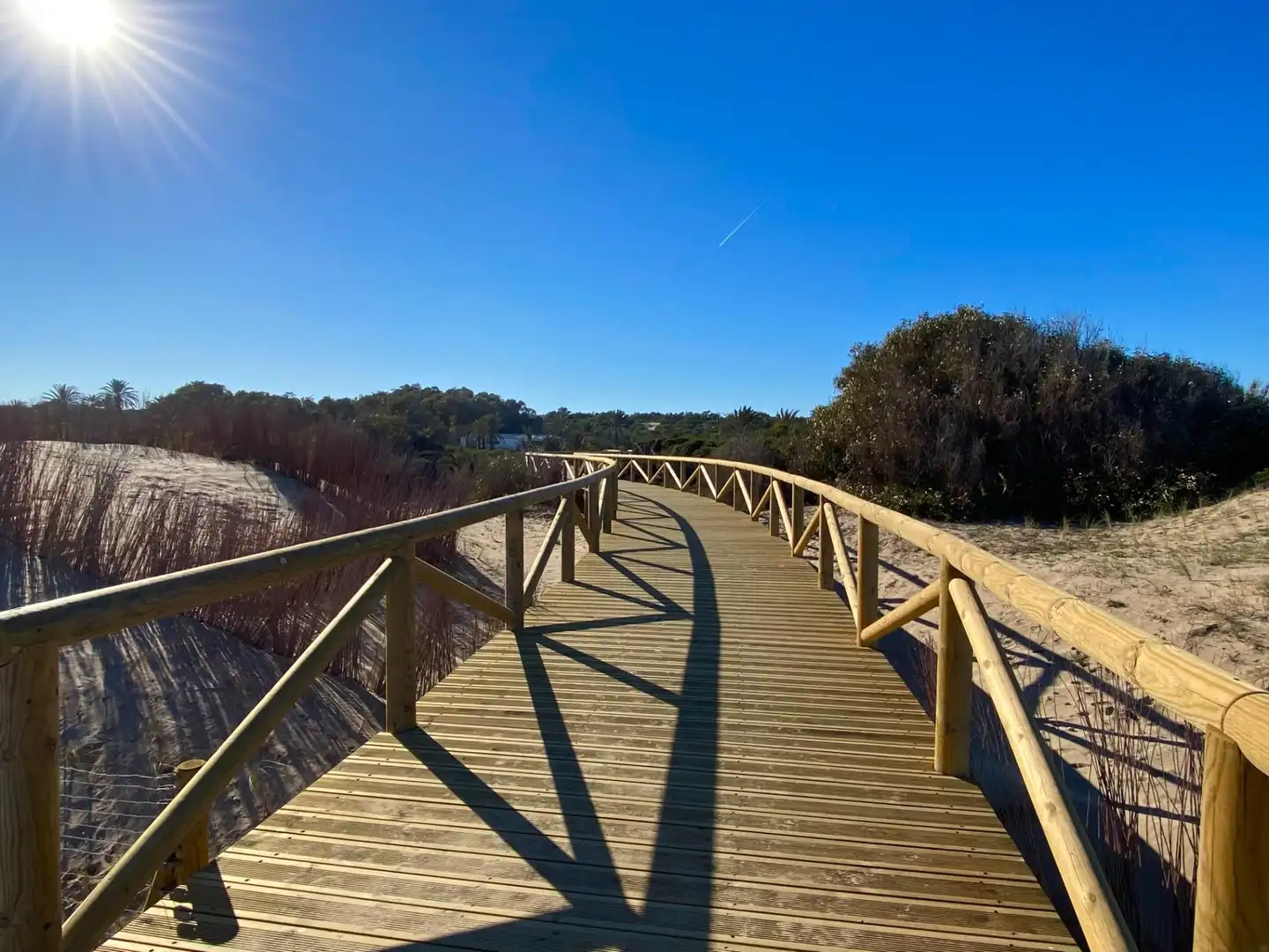 Vista exterior de Casa o chalet en venta en Guardamar del Segura con Jardín privado y Alarma