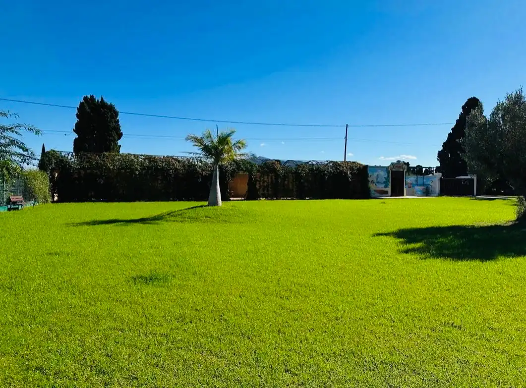 Villa avec terrasse à vendre à Las Marinas / Les Marines, imagen 10