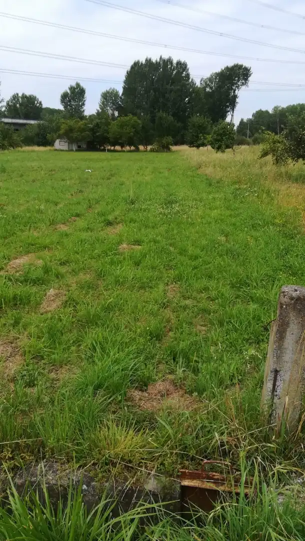 Terreni e lotti in vendita a Compostilla - Columbrianos, imagen 3