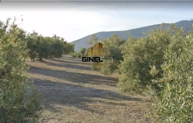 Finca rústica en venda en Jaén