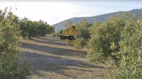 Photo 3 of Country house for sale in Ctra. Circunvalación - La Magdalena, Jaén