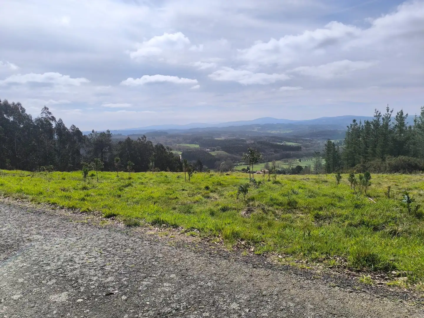 Casa o xalet en venda en Palas de Rei amb Jardí privat