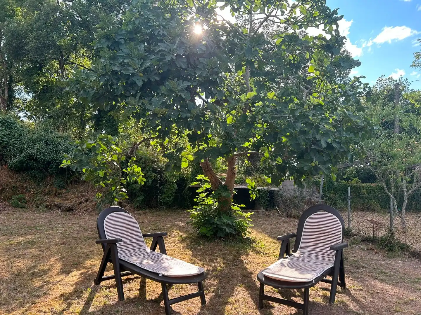 Casa amb jardí en venda a Po204 27c, imagen 34