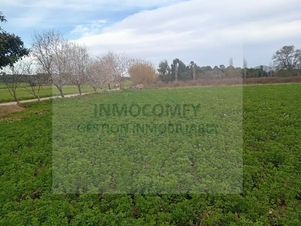 Land for sale in Palau-sator