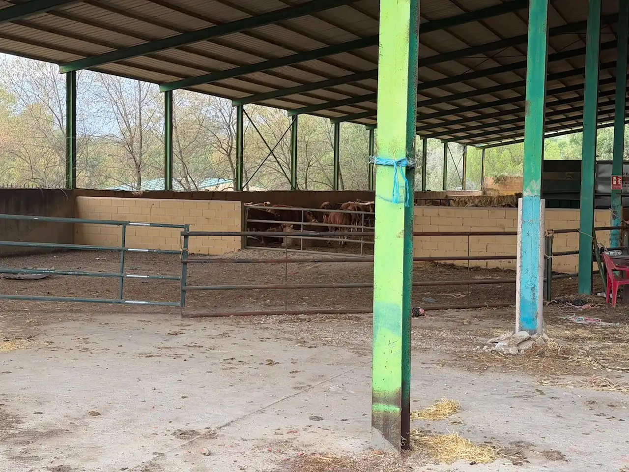 Nau industrial en venda en Piedralaves