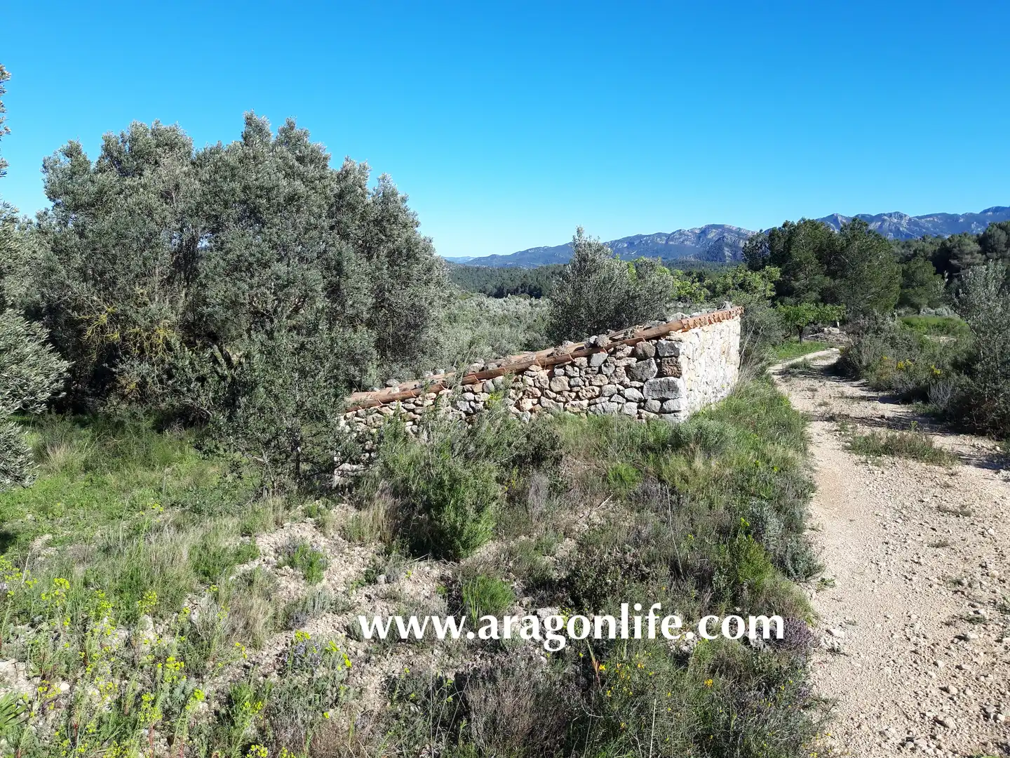 Rural land for sale in C-43, imagen 6