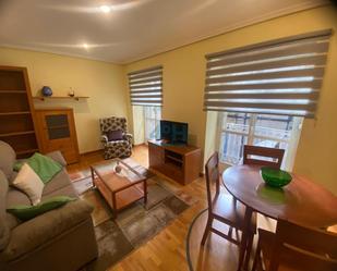 Sala d'estar de Apartament de lloguer en Ourense Capital  amb Calefacció, Parquet i Terrassa