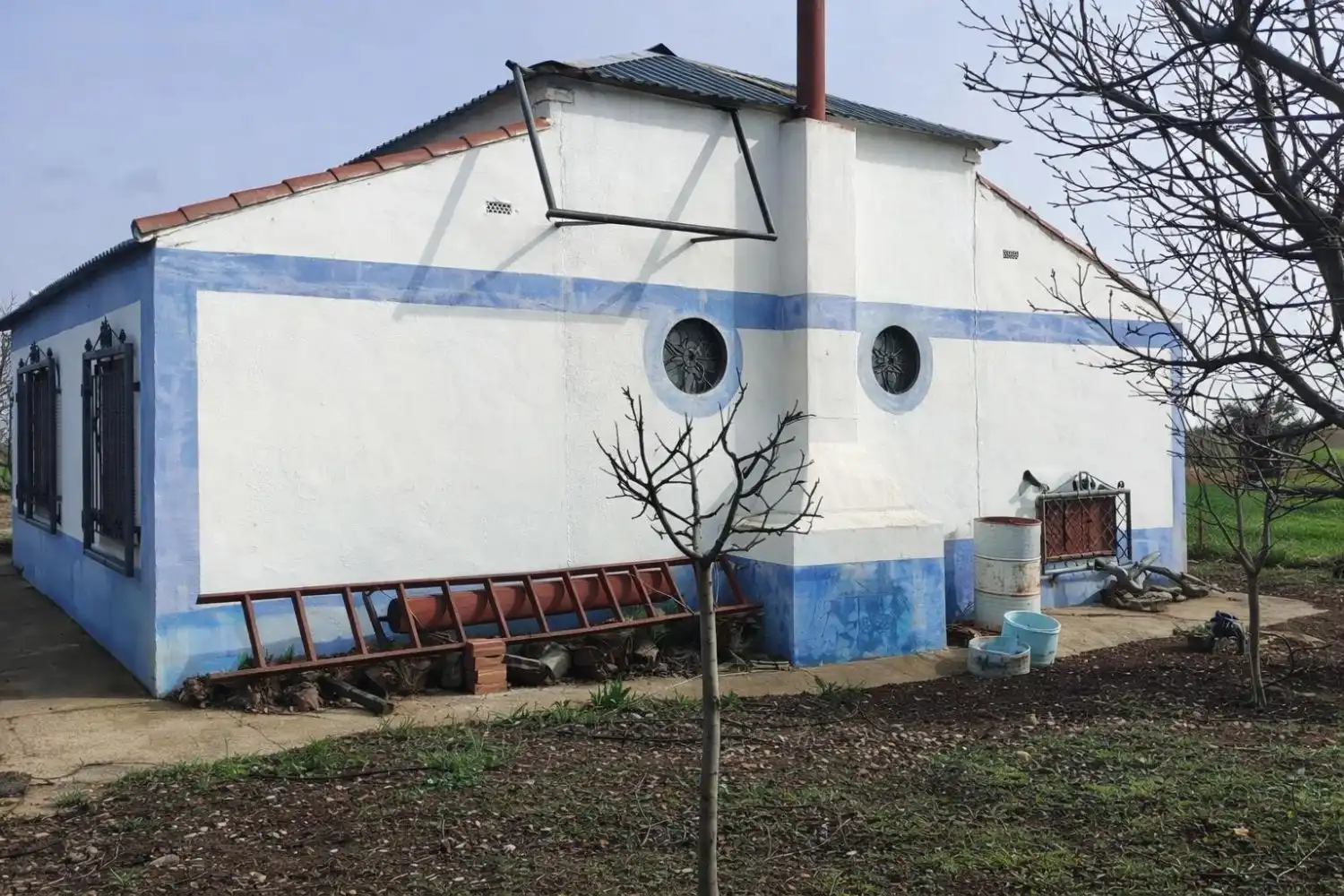 Vista exterior de Finca rústica en venta en Valdepeñas