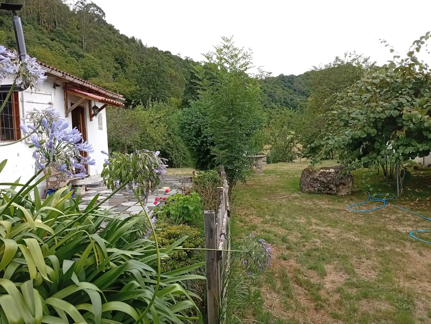 Terreny rústic en venda a Camín de la Xía 686, imagen 33
