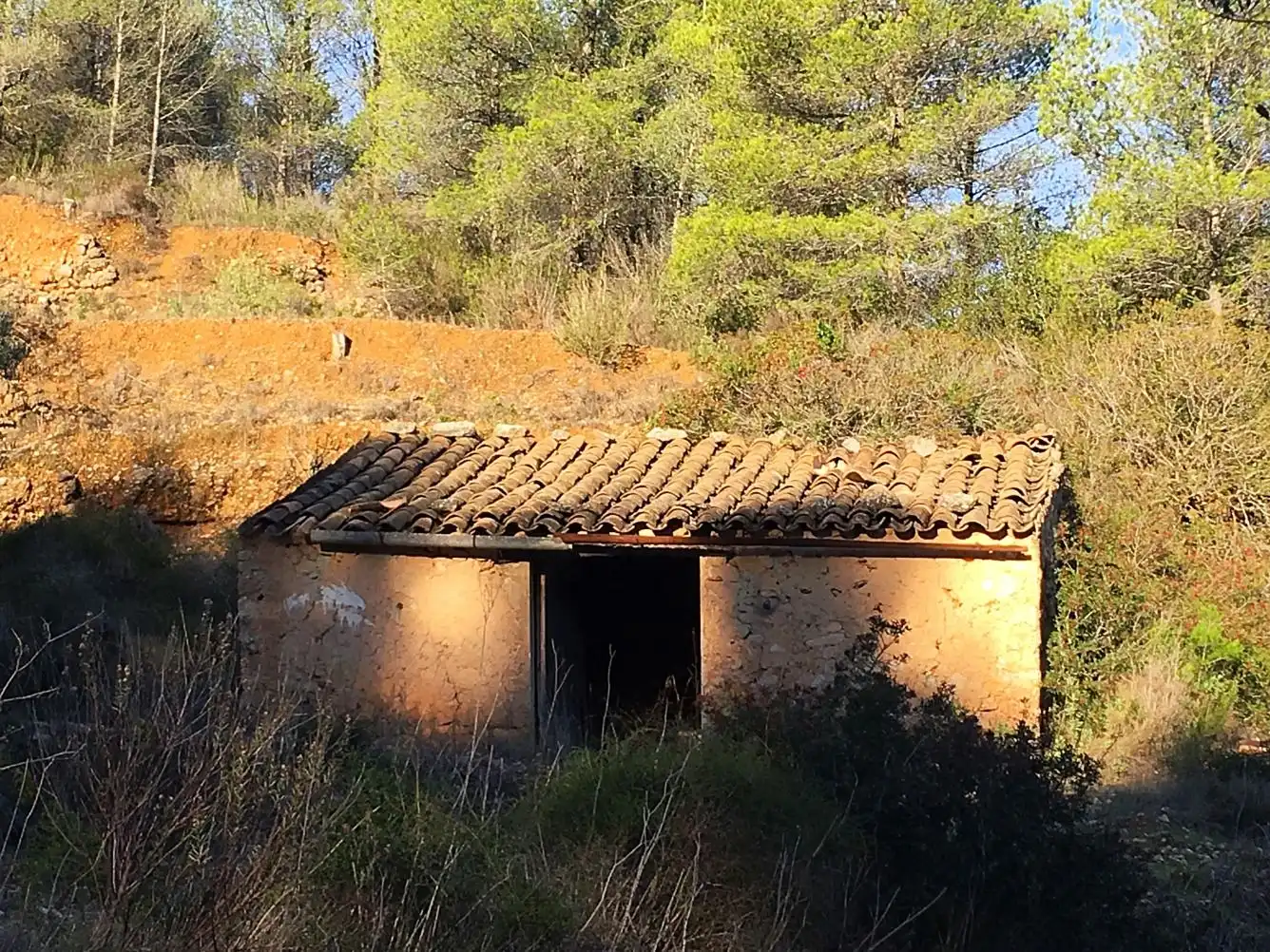Maison à vendre à El Pinell de Brai