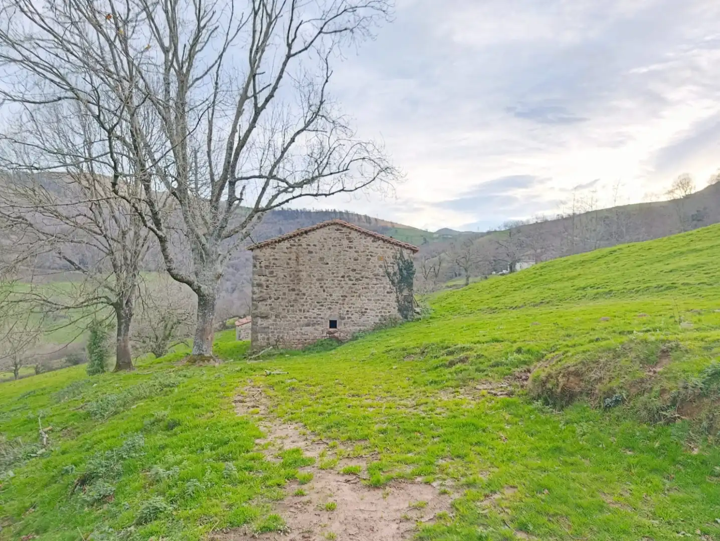 Casa o chalet en venta en Esles - GEIDO POLÍGONO 32 PARCELA 83, Santa María de Cayón