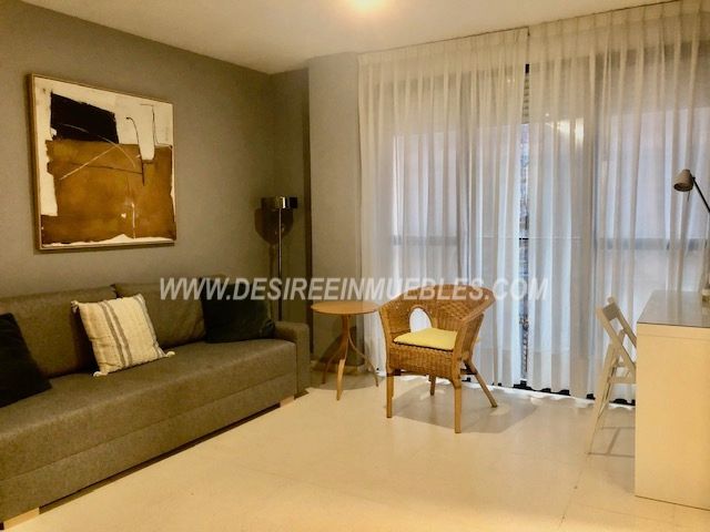 Living room of Flat to rent in  Valencia Capital  with Heating, Terrace and Furnished