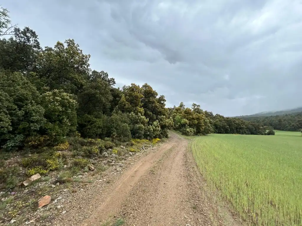 Country homes for sale in El Toro