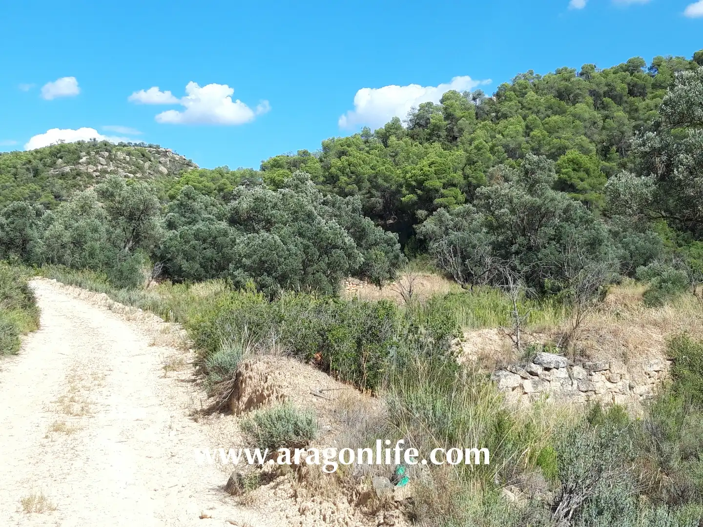 Finca rústica en venta en Fabara