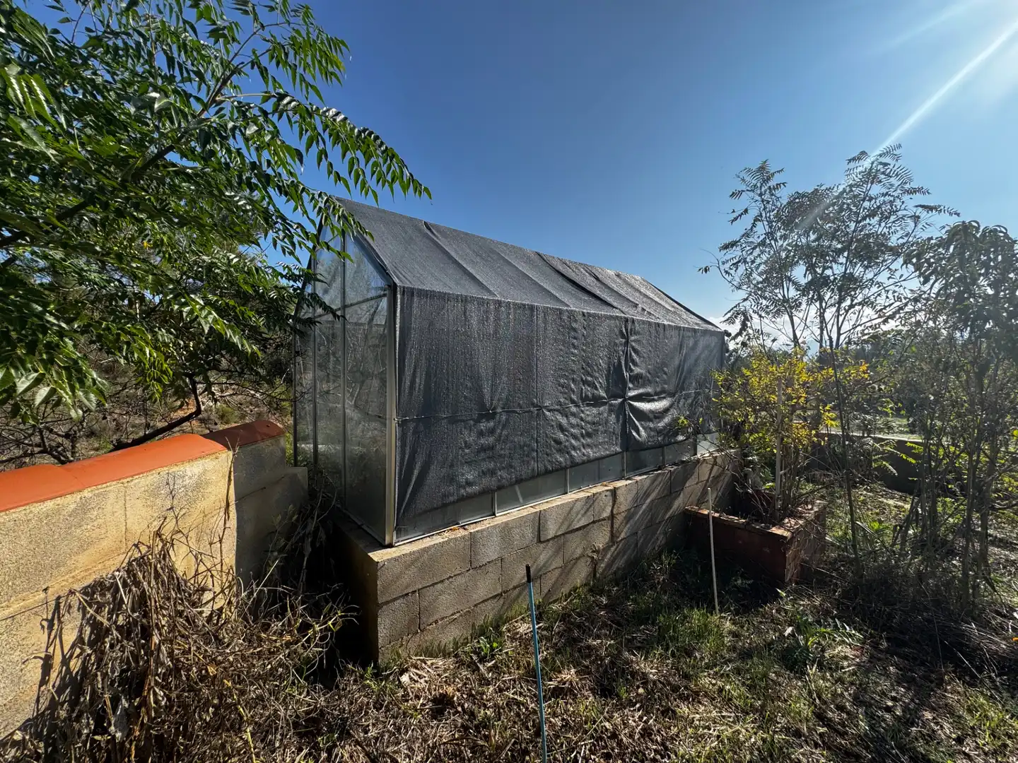 Jardín de Finca rústica en venta en Lledó con Aire acondicionado, Terraza y Piscina