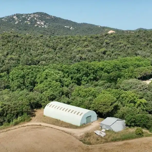 Vista exterior de Finca rústica en venta en Tossa de Mar con Jardín privado