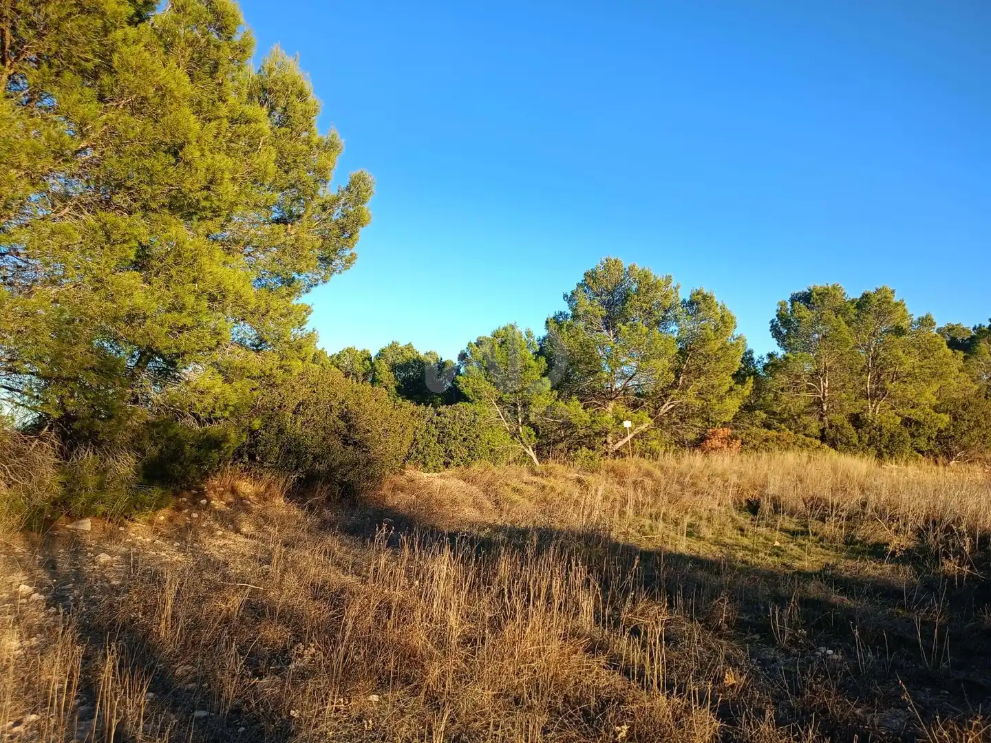 Terreno en venta en Lorca