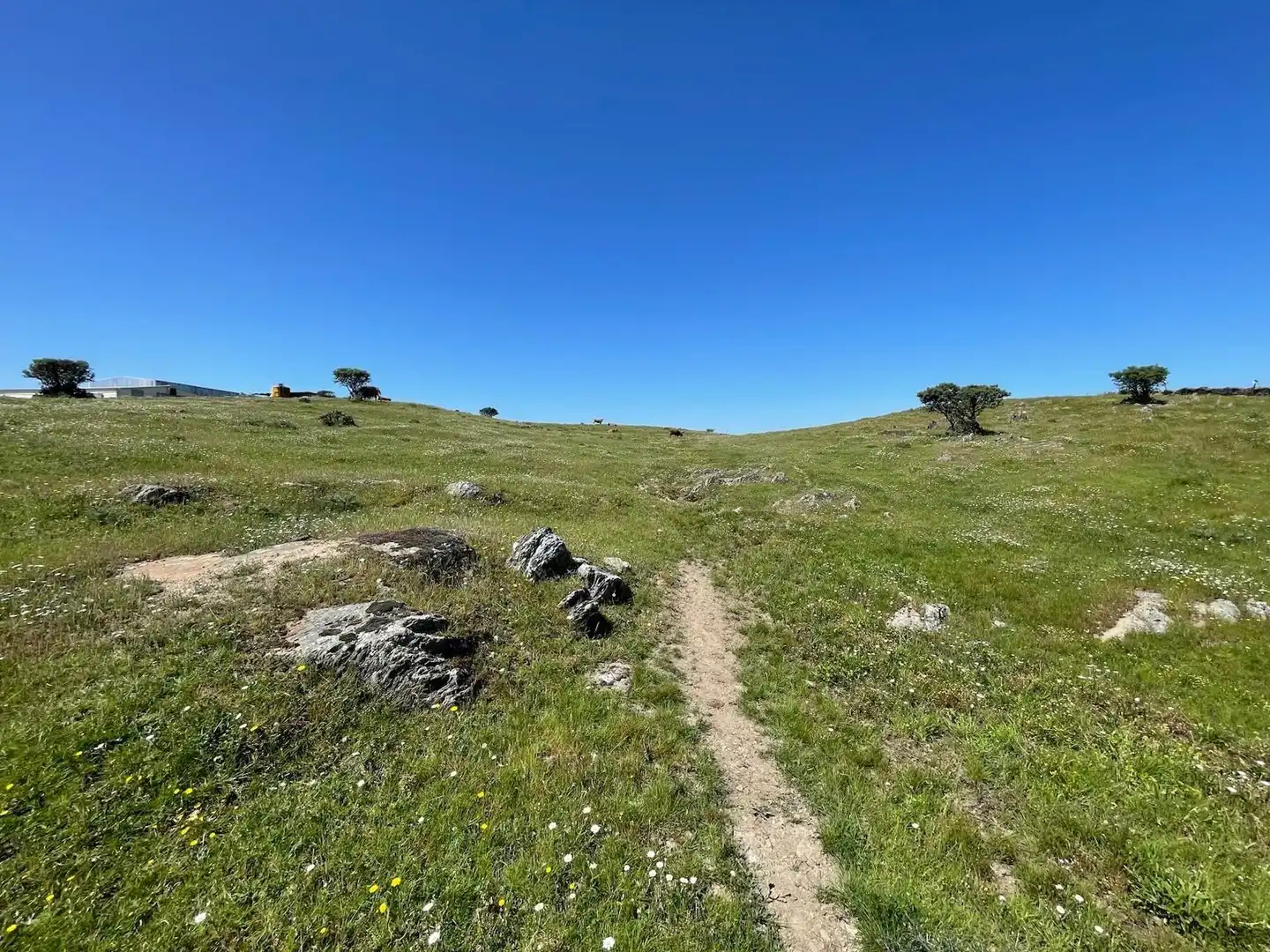 Terreni e lotti in vendita a Garrovillas de Alconétar, imagen 15