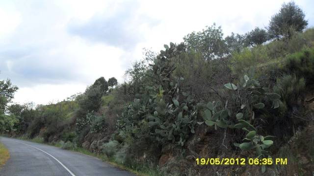 Terreno en Venta en Pereña de la Ribera